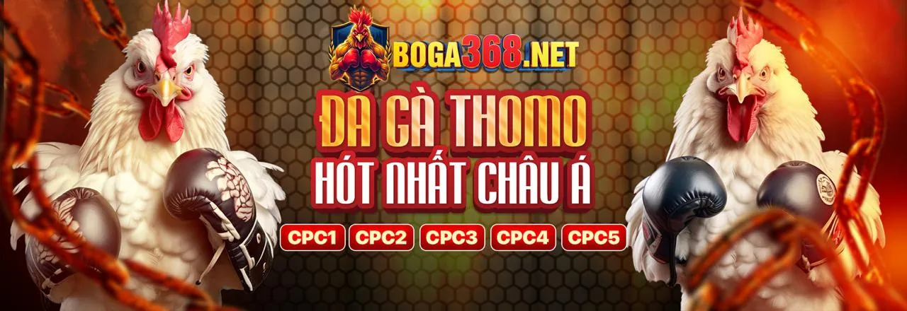 Quản lý Cookie tại rw88 casino