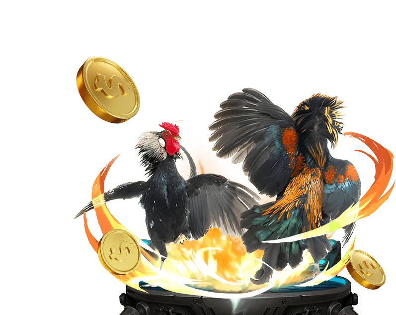 Chương trình VIP rw88 casino